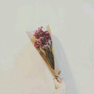千铳士手机版下载